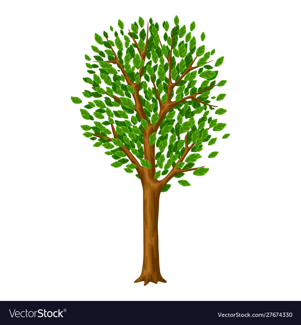 Spring or summer stylized tree with green leaves