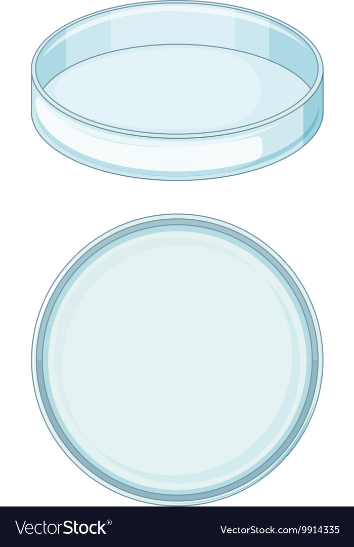 Empty glass tray used in science lab Royalty Free Vector