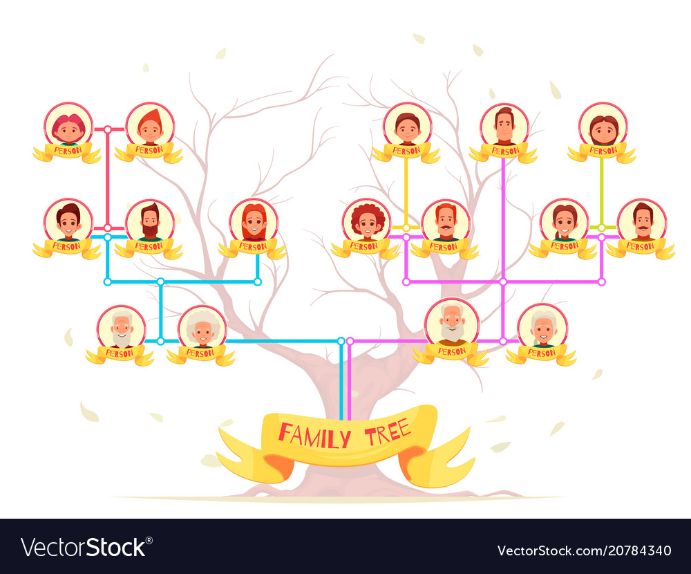 Family tree infographic avatars Royalty Free Vector Image