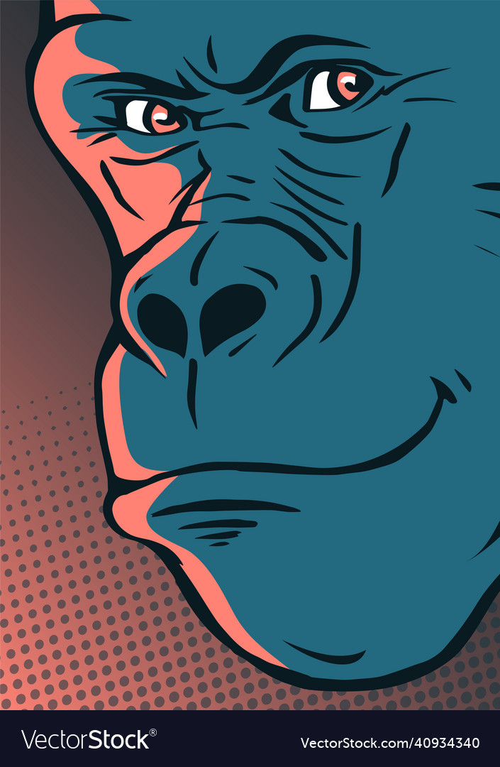 Gorilla head on a color background