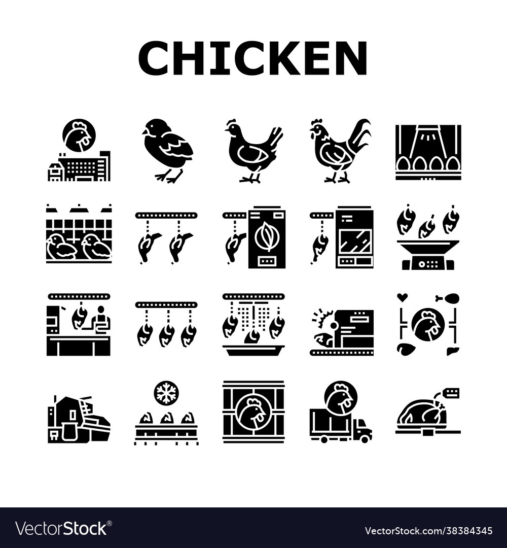 Chicken meat factory collection icons set