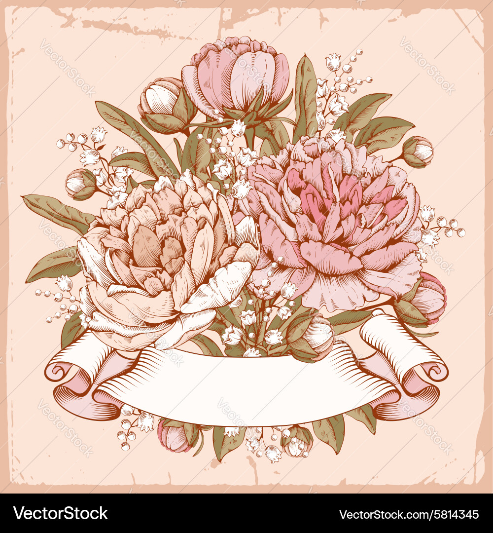 Peonies Royalty Free Vector Image - VectorStock