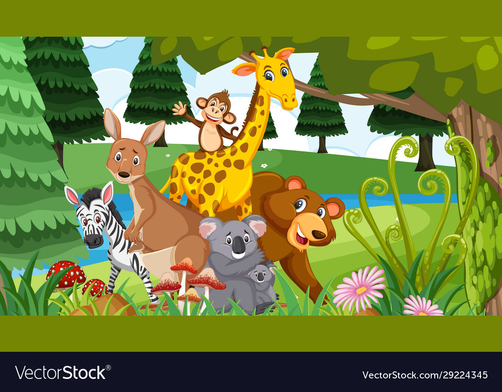 Scene with many wild animals in forest