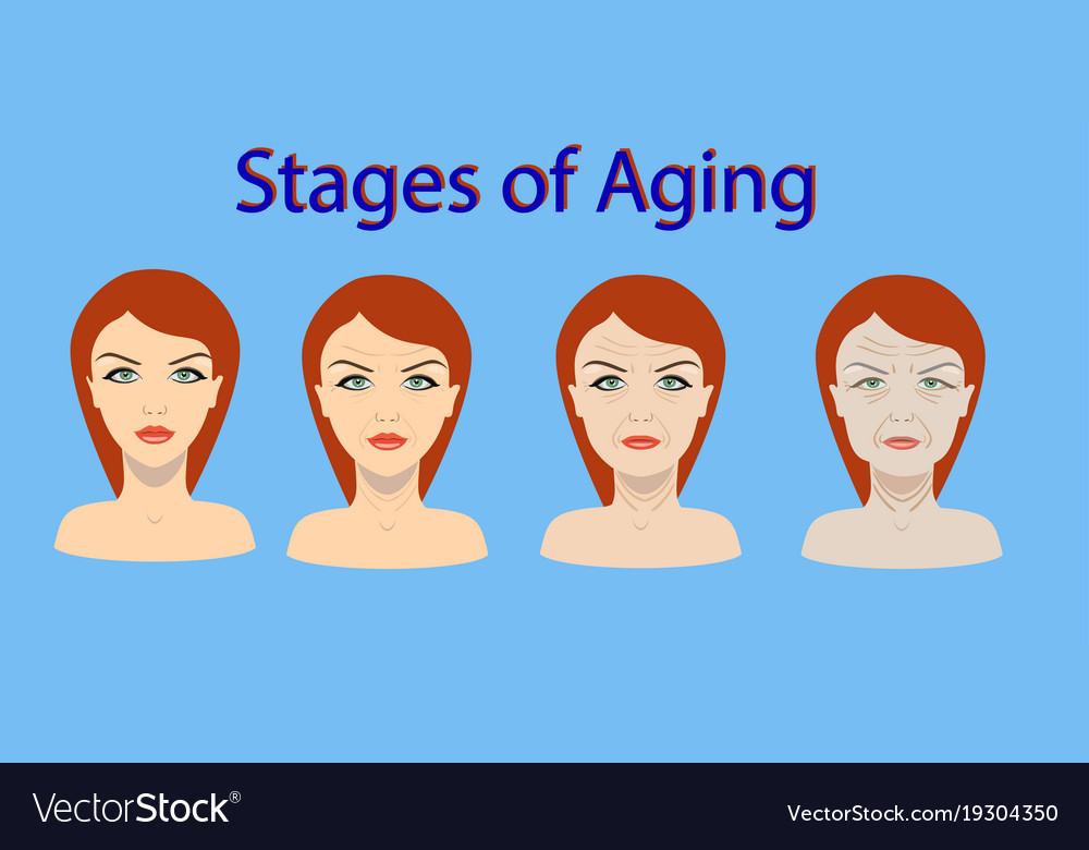 Aging Process Four Stages Of Face Changing Vector Image