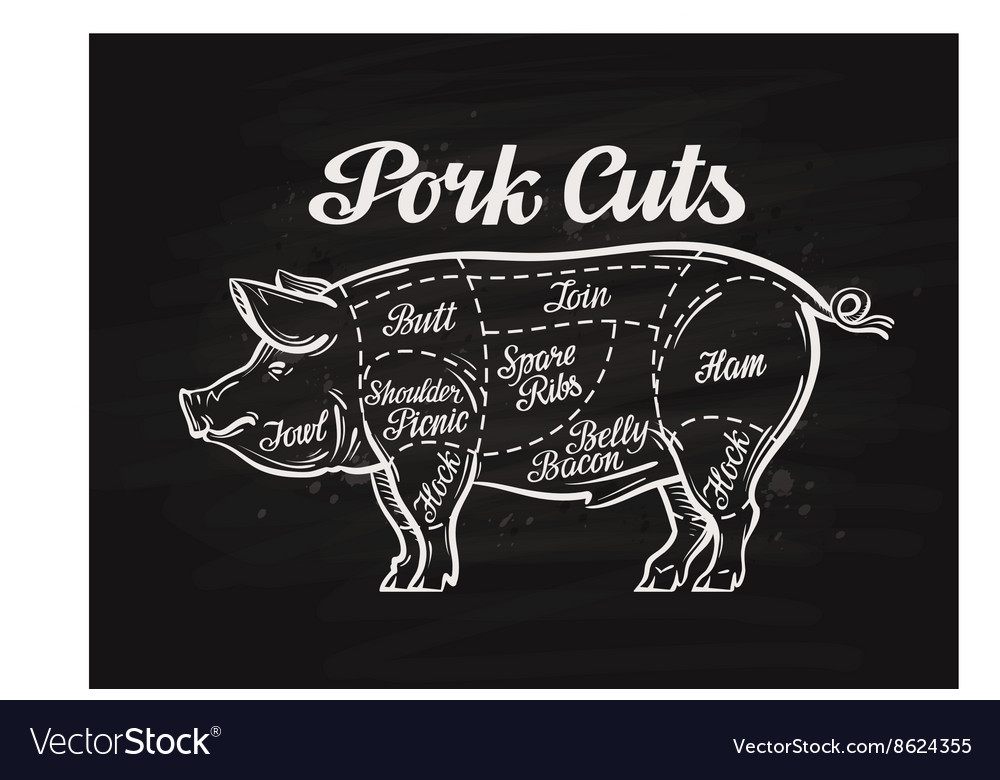 Pig pork cuts template menu design Royalty Free Vector Image