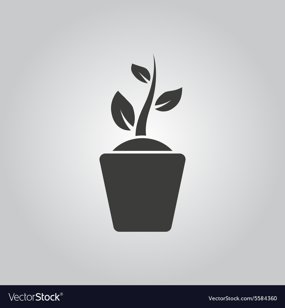 Sprout wreath icon plant and herb nature