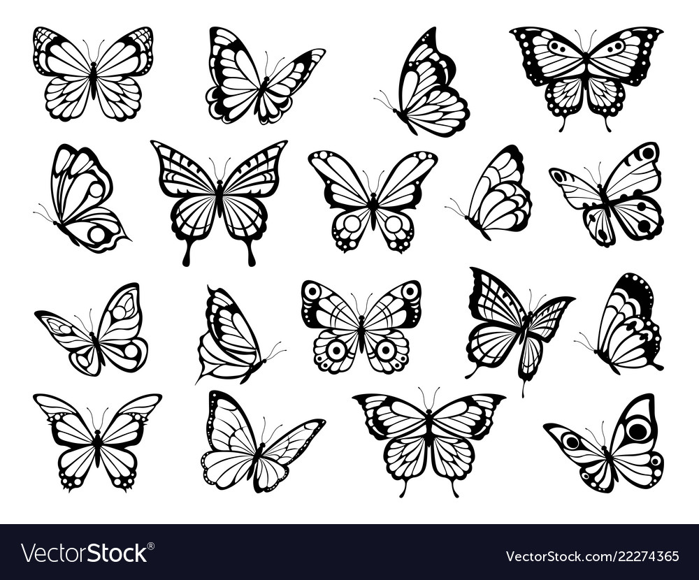 Silhouettes butterflies black pictures of Vector Image