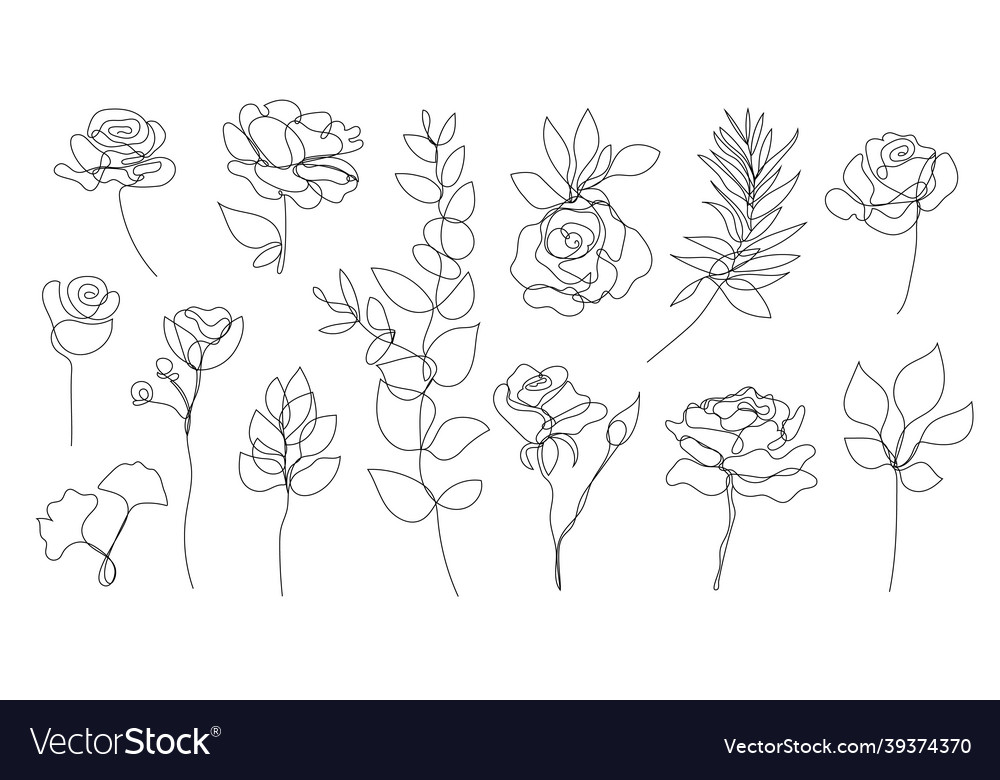 Set of hand drawn single continuous line Vector Image