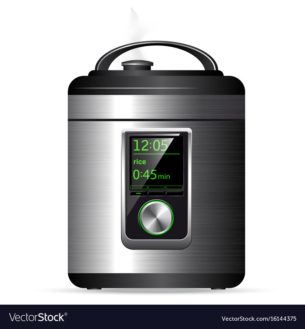 Modern Metal Multicooker Pressure Cooker Vector Image