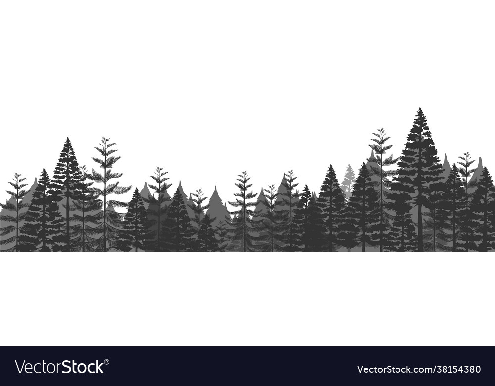 Wald nahtlose Silhouette Hintergrund Pinien