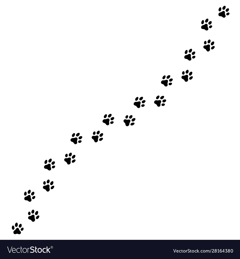 Trail dog or cat tracks Royalty Free Vector Image