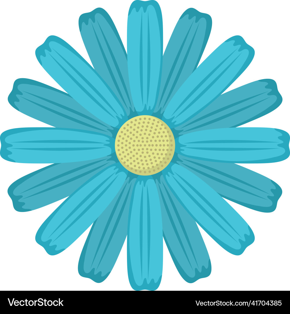 Blue spring flower Royalty Free Vector Image - VectorStock