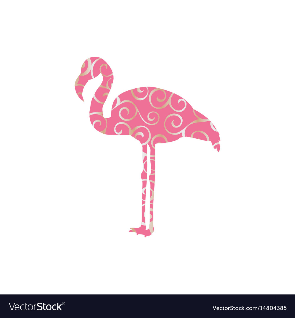 Flamingo bird color silhouette anima