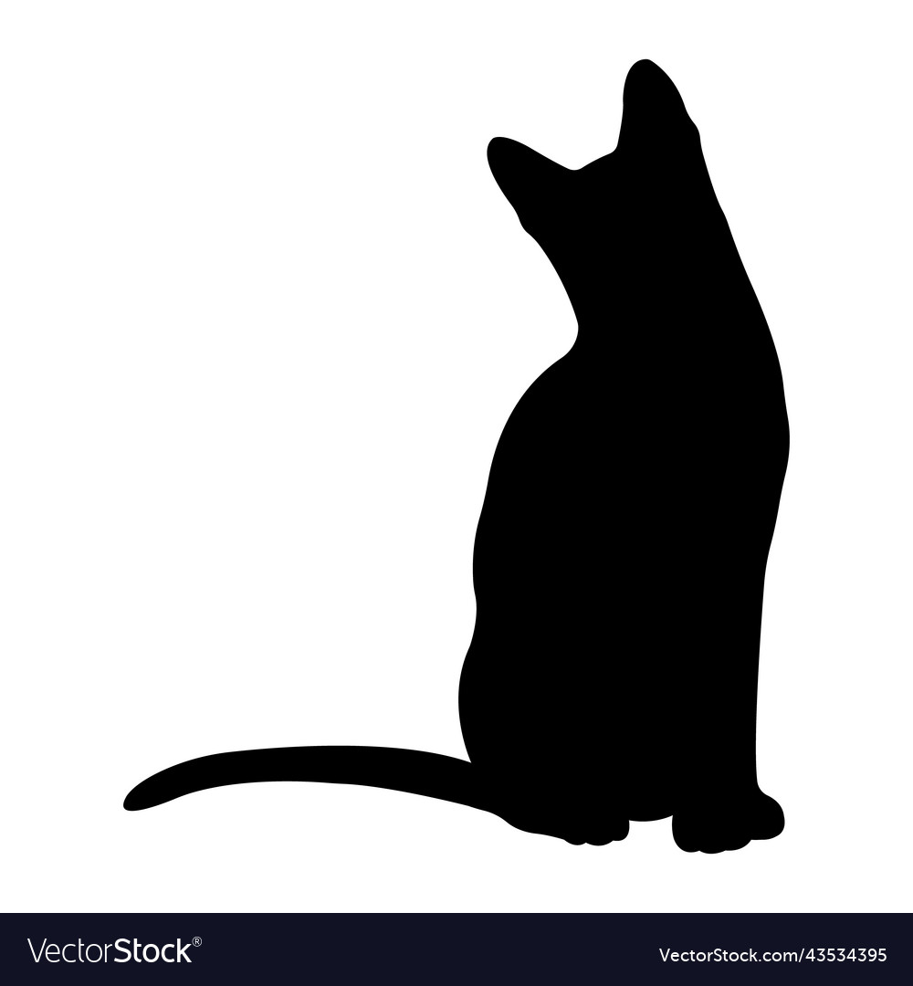 Cat Outline Silhouette PNG And Vector Images Free Download, 44% OFF