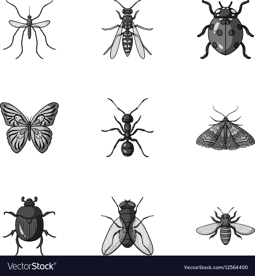 Insects set icons in monochrome style big