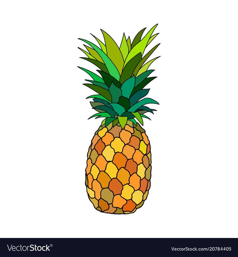 Pineapple Royalty Free Vector Image - VectorStock