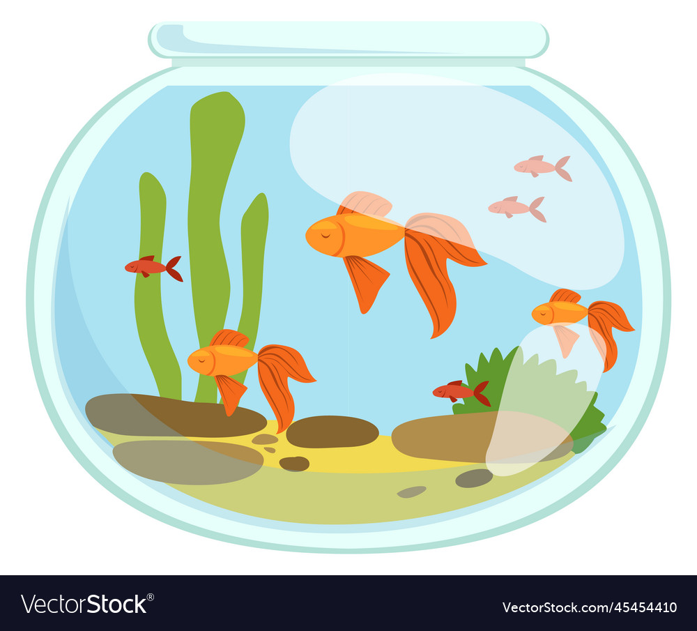 Aquarium with swimming fishes glass tank cartoon Vector Image