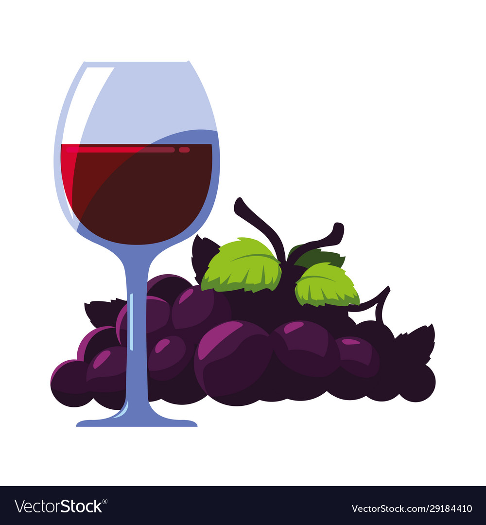 Wine glass with grapes on white background Vector Image