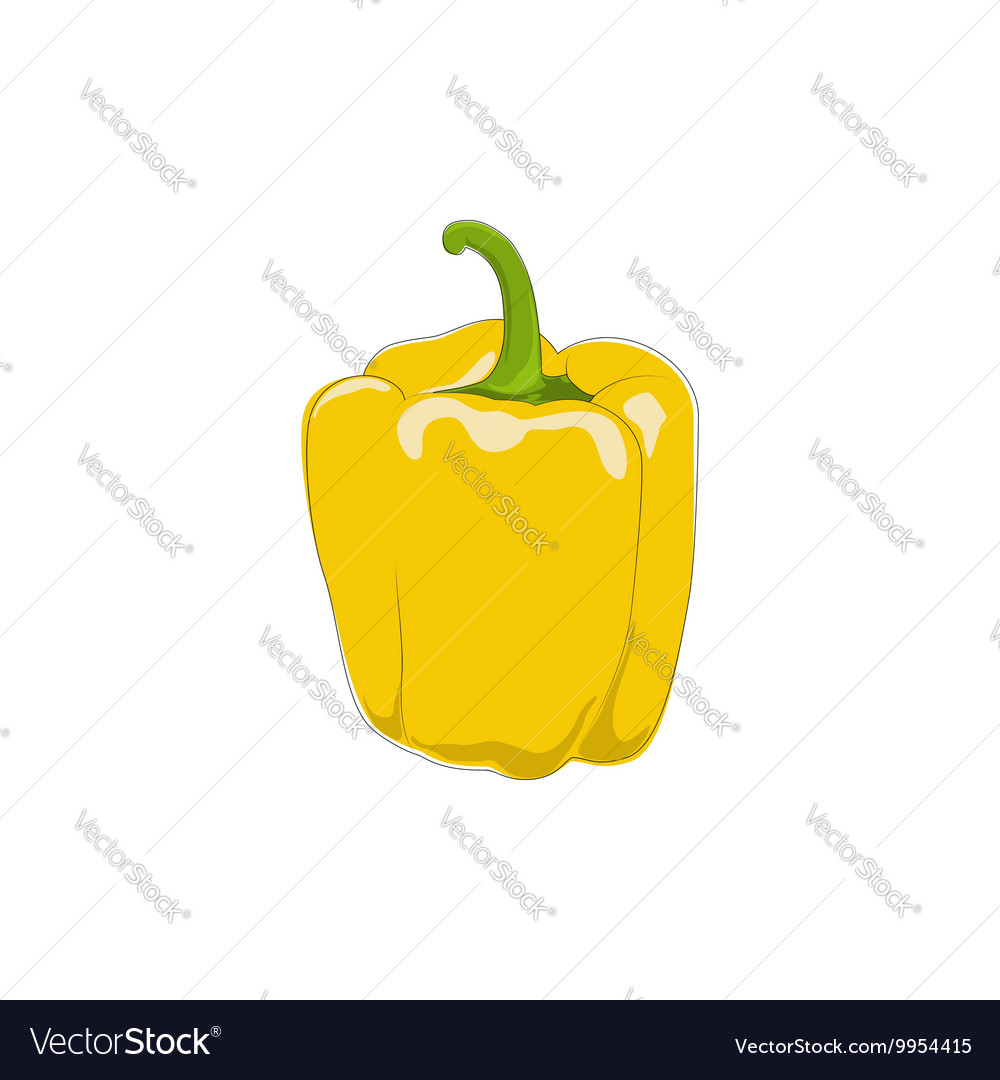 Yellow bell pepper isolated on white