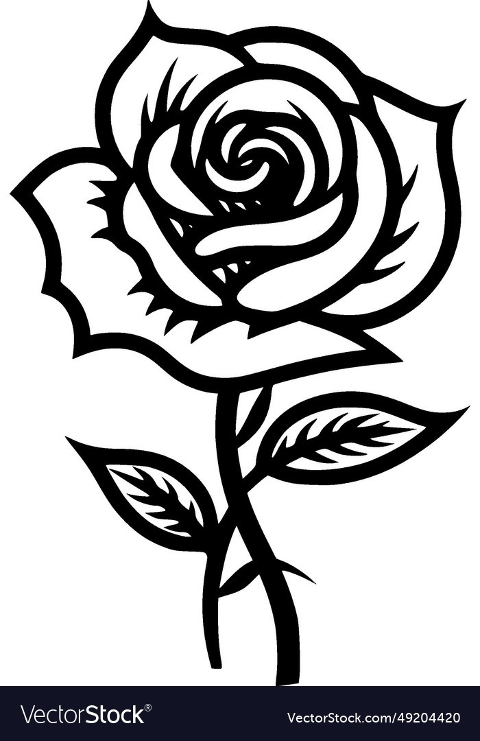 Rose - black and white