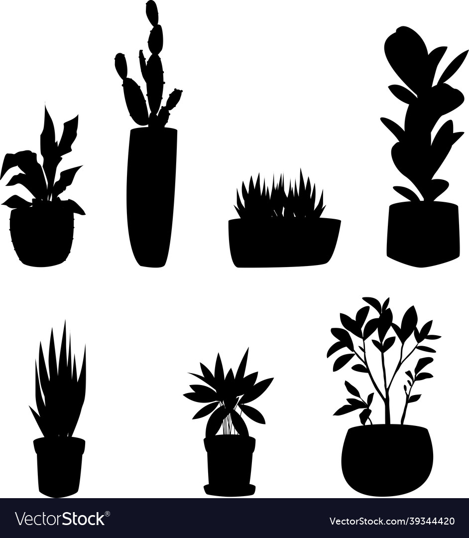 Silhouettes of flowers homemade in pots