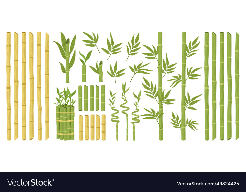 Cartoon bamboo asian forest plant with branches Vector Image