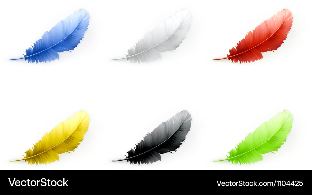 Feathers set Royalty Free Vector Image - VectorStock