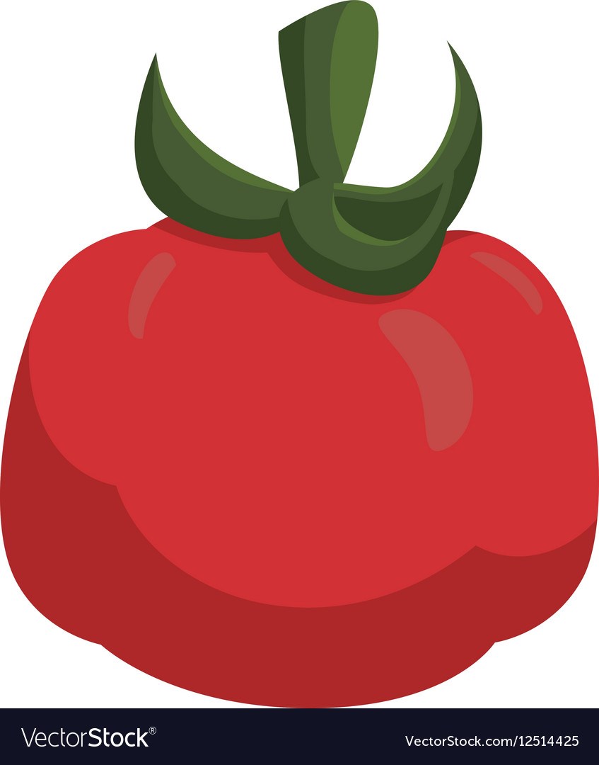 Tomato vegetable icon