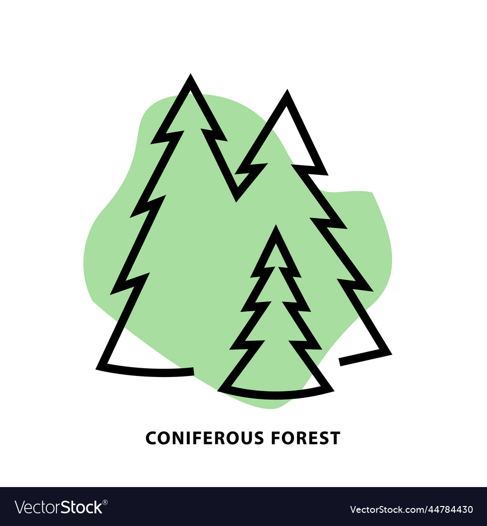 Coniferous forest tree line icon linear style