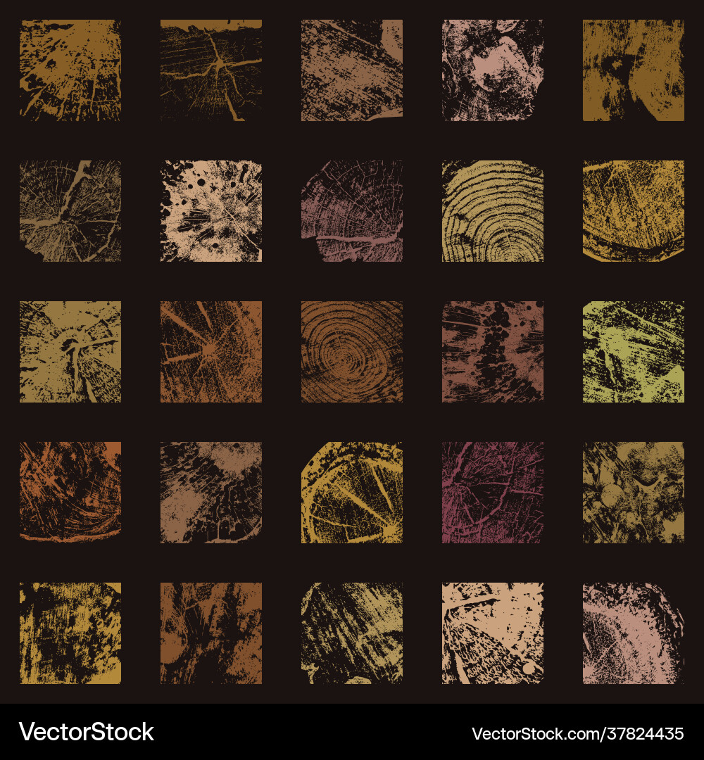 Abstract seamless pattern with various wood Vector Image