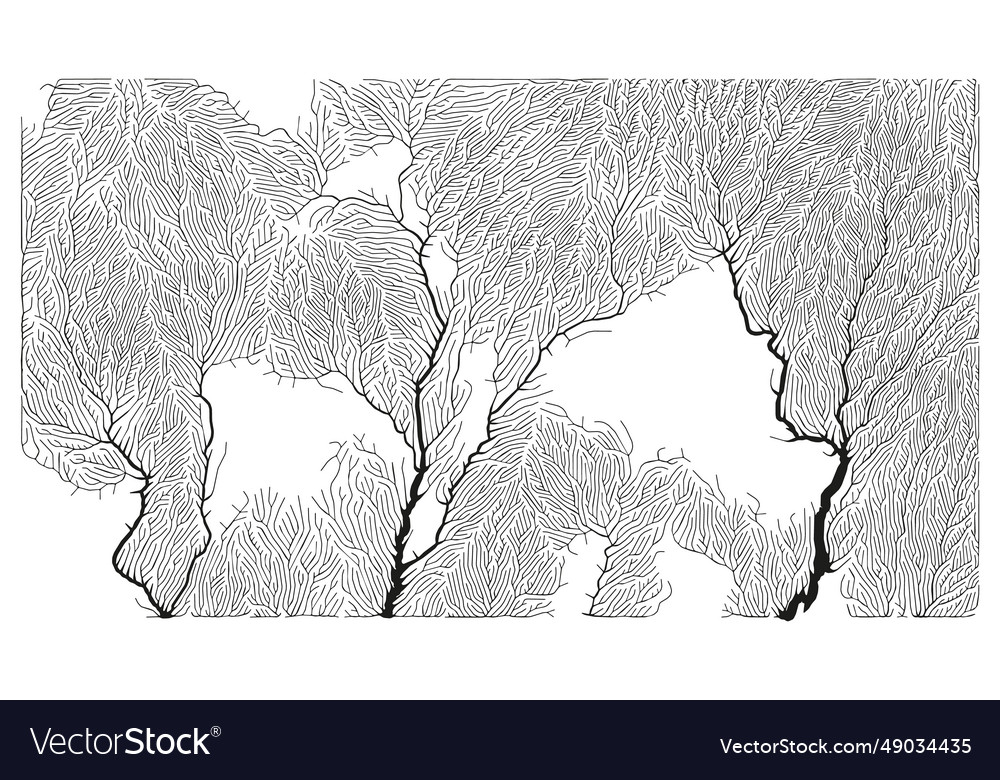 Growth pattern generative branching structure