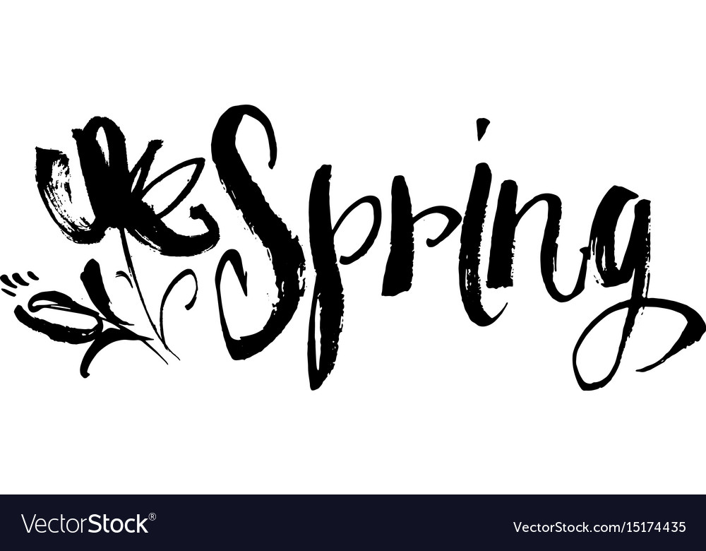 Hand drawn spring word lettering Royalty Free Vector Image