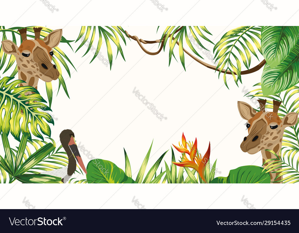 Jungle frame giraffe stork leaves white background vector image Jungle frame giraffe stork leaves white background