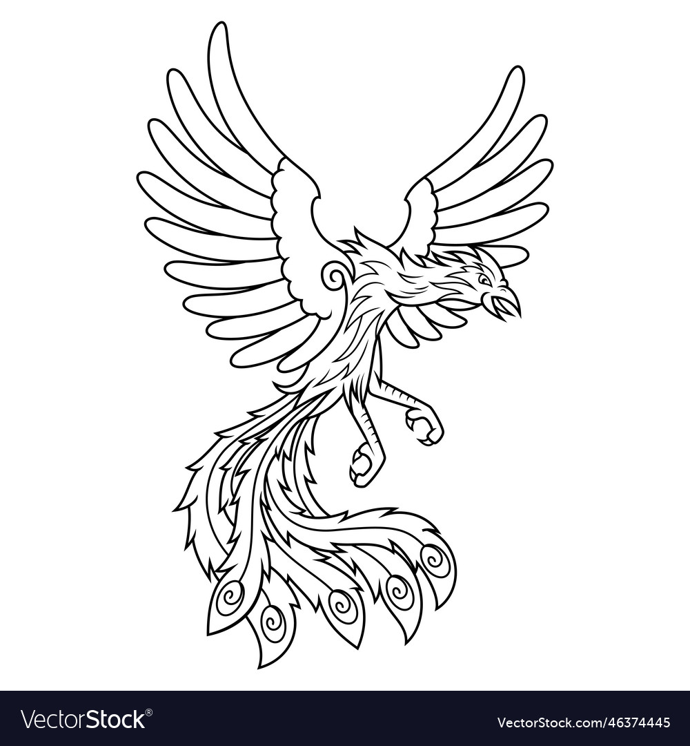 Hand drawn of phoenix line art