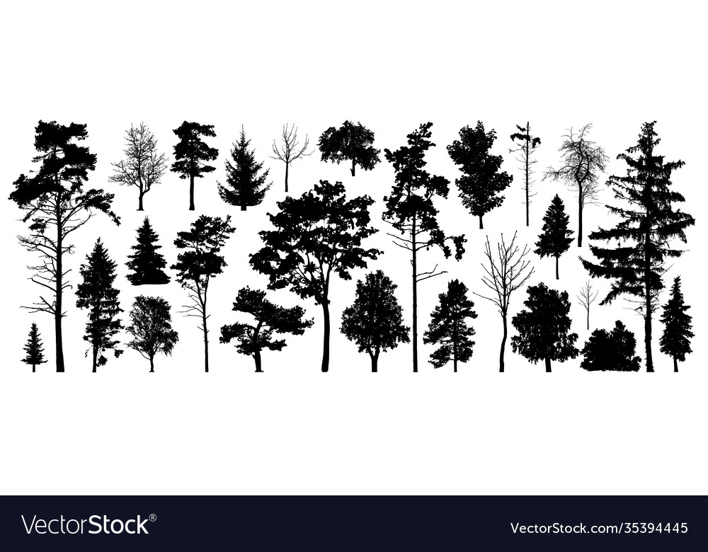 Tree silhouette isolated forest trees on white