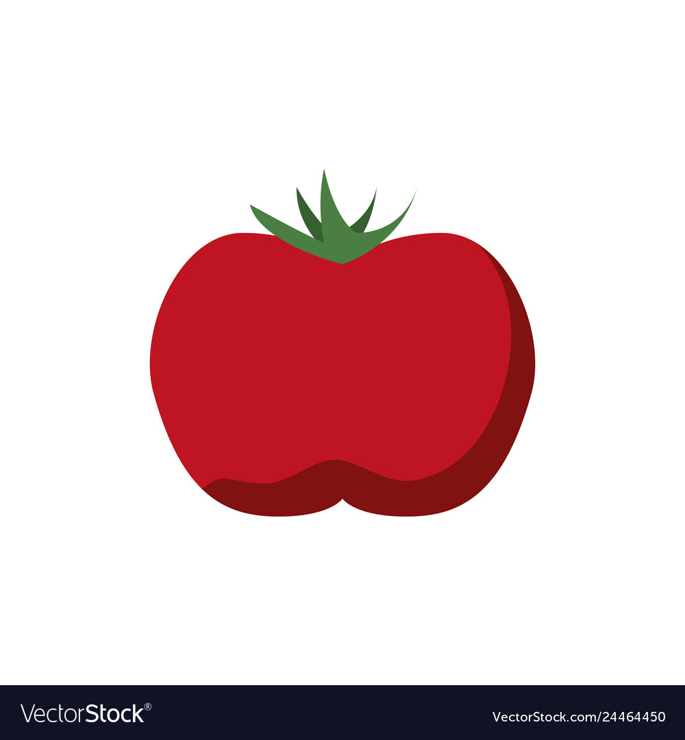 Tomato fresh isolated icon