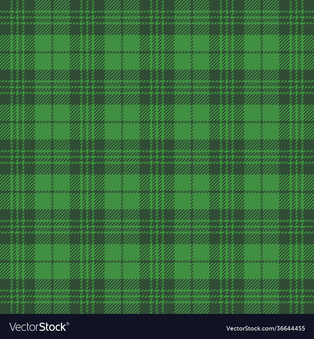 St patricks day tartan plaid scottish cage Vector Image