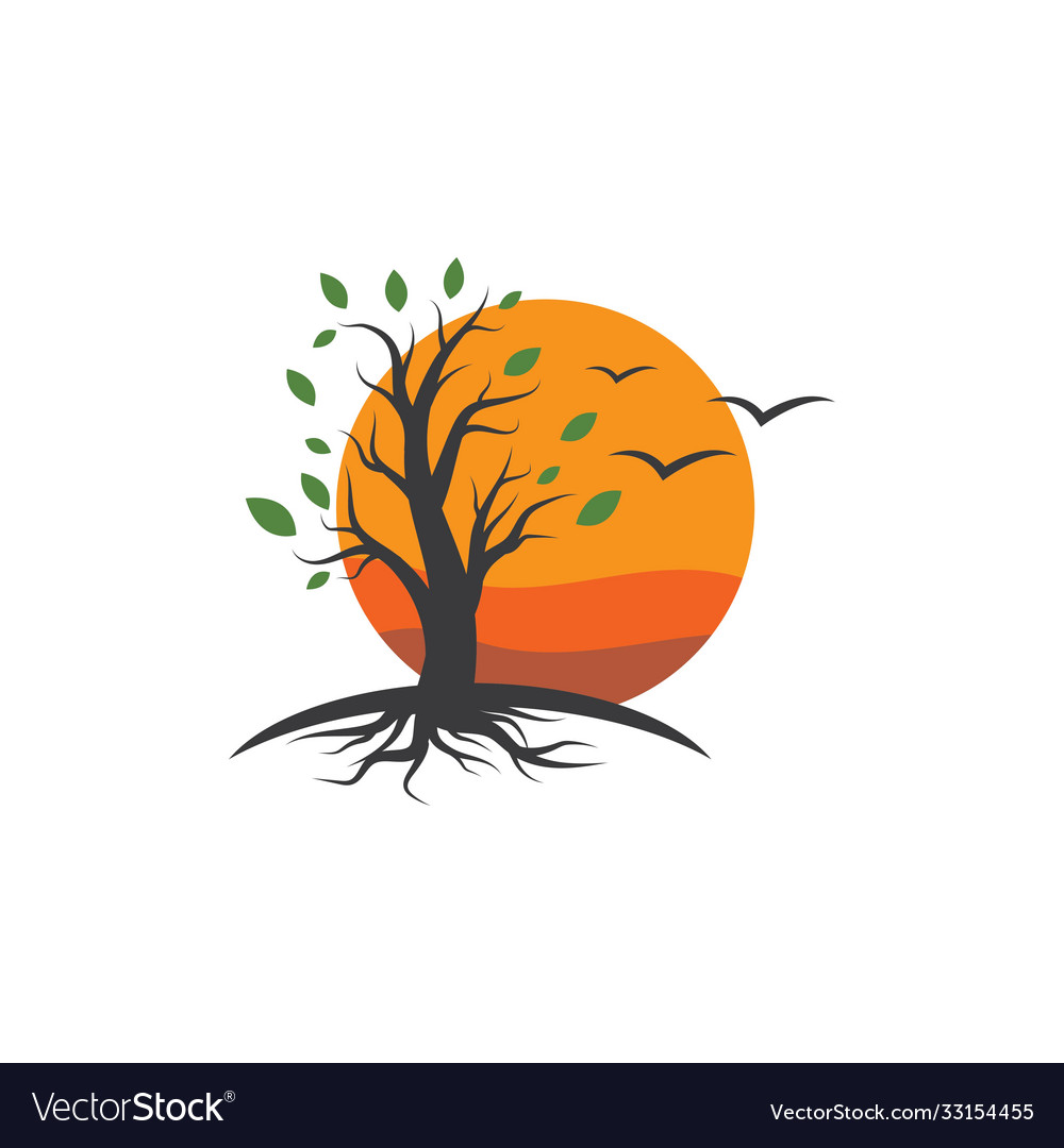 Tree silhouette Royalty Free Vector Image - VectorStock