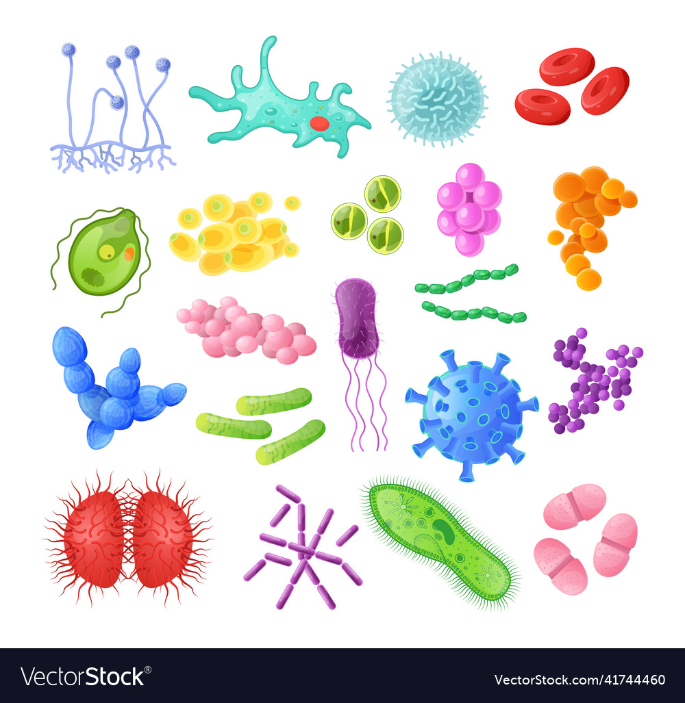 Microorganism bacteria virus cell bacillus Vector Image