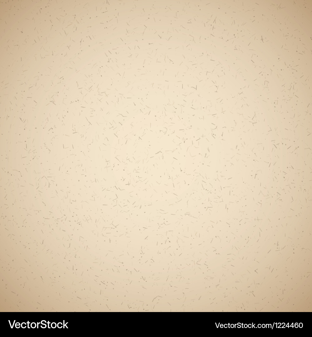 Paper texture Royalty Free Vector Image - VectorStock