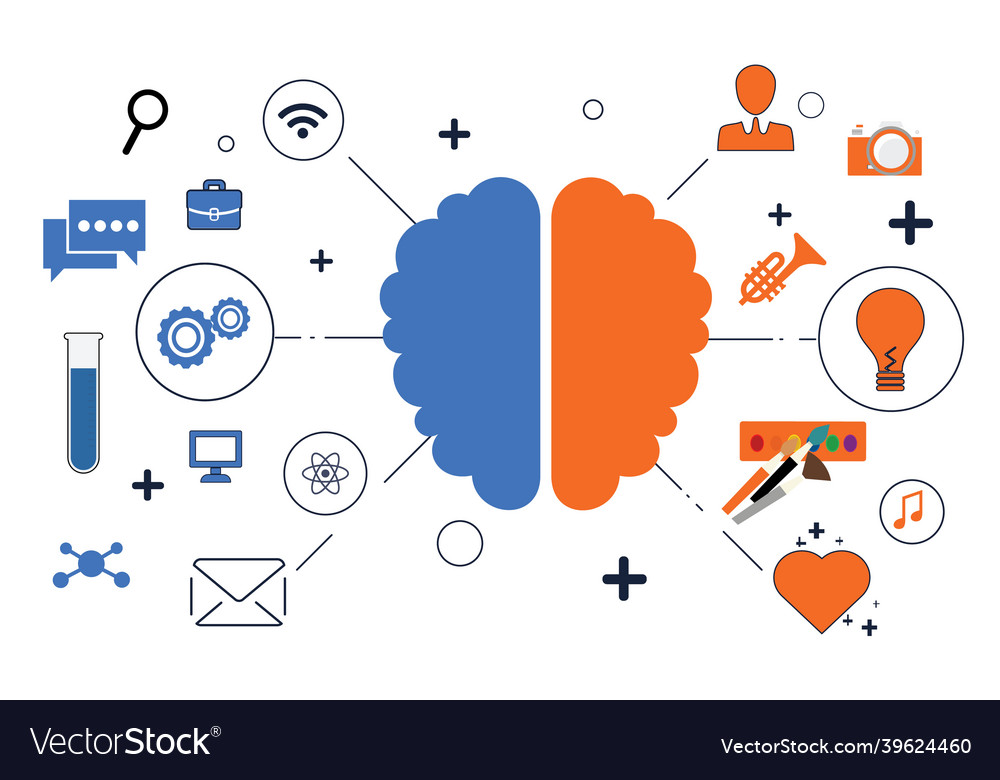 The brain Royalty Free Vector Image - VectorStock