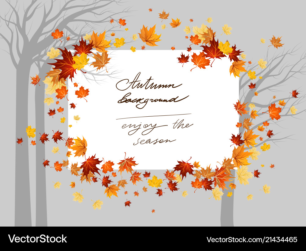 Fall maple trees Royalty Free Vector Image - VectorStock