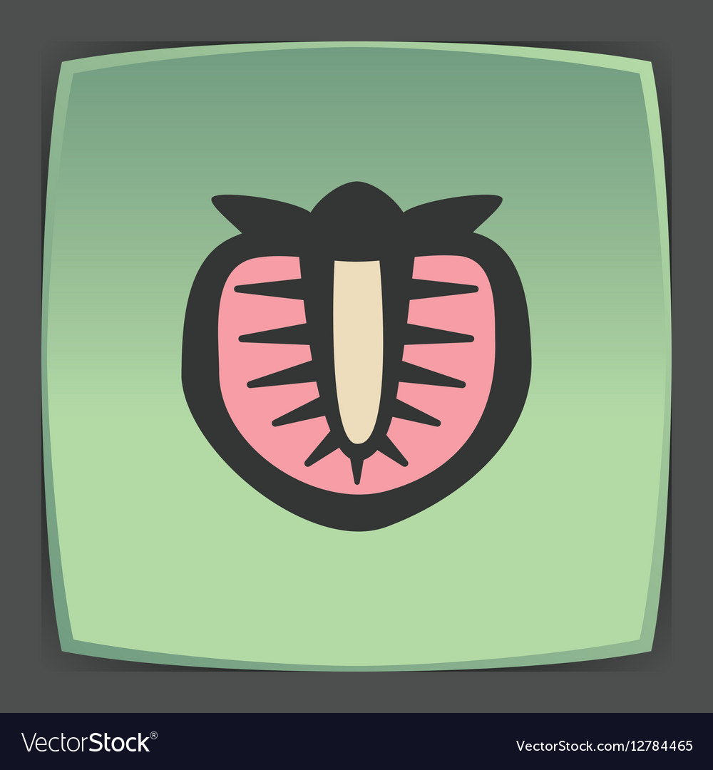 Outline strawberry fruit icon modern infographic