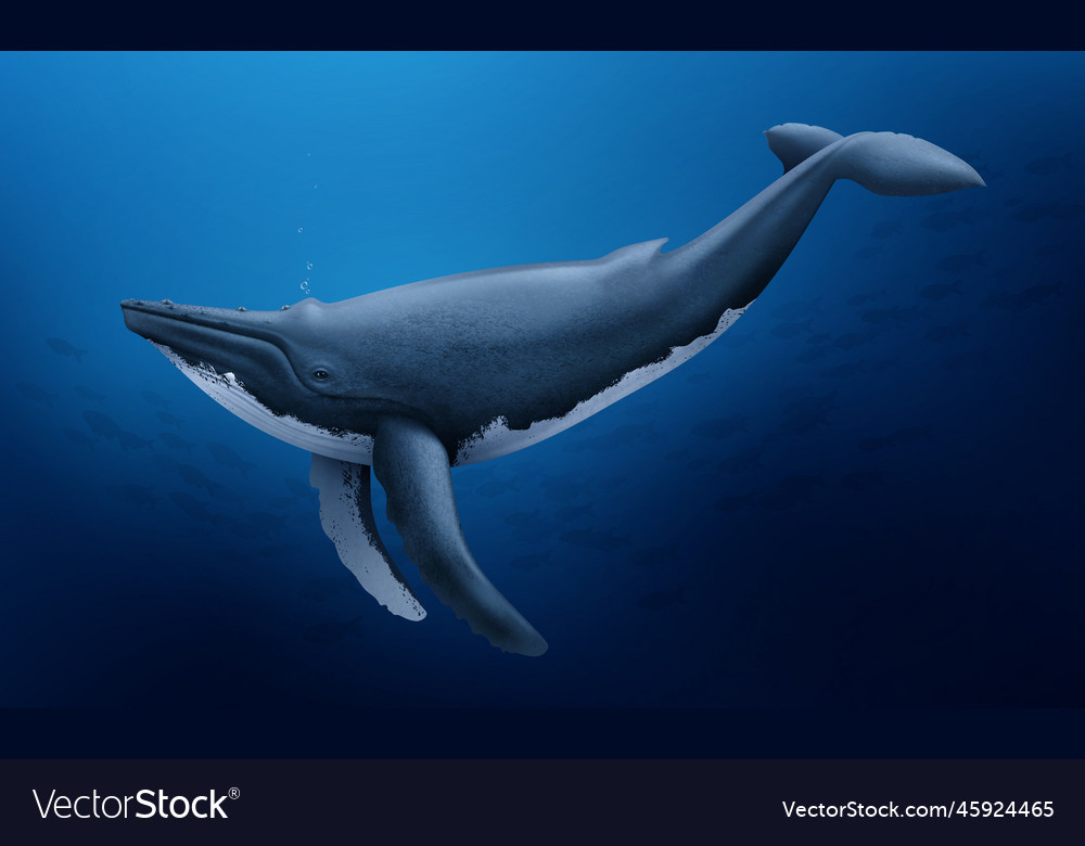 Whale at depth realistic composition Royalty Free Vector