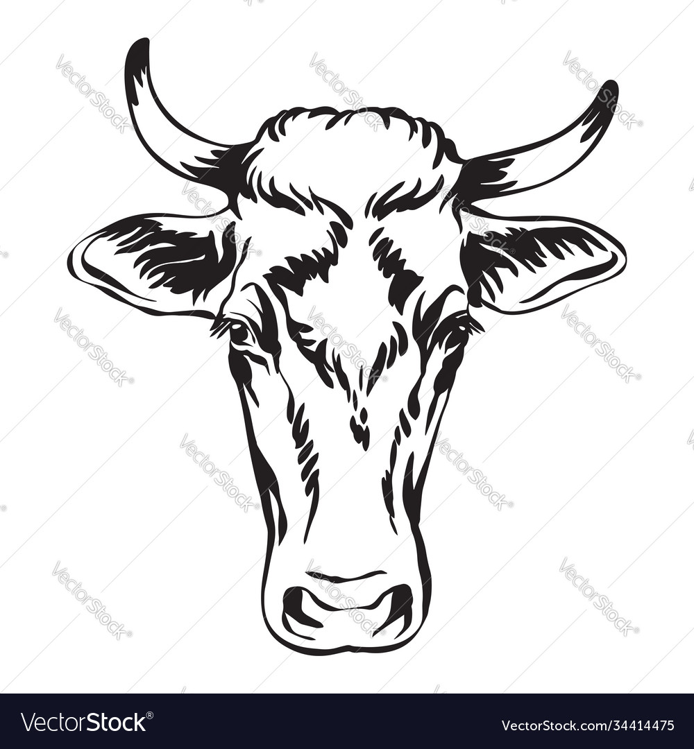 Black contour portrait cow Royalty Free Vector Image