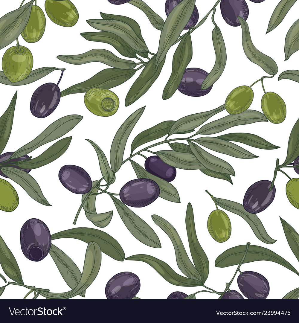 Natural seamless pattern with olive tree branches Vector Image