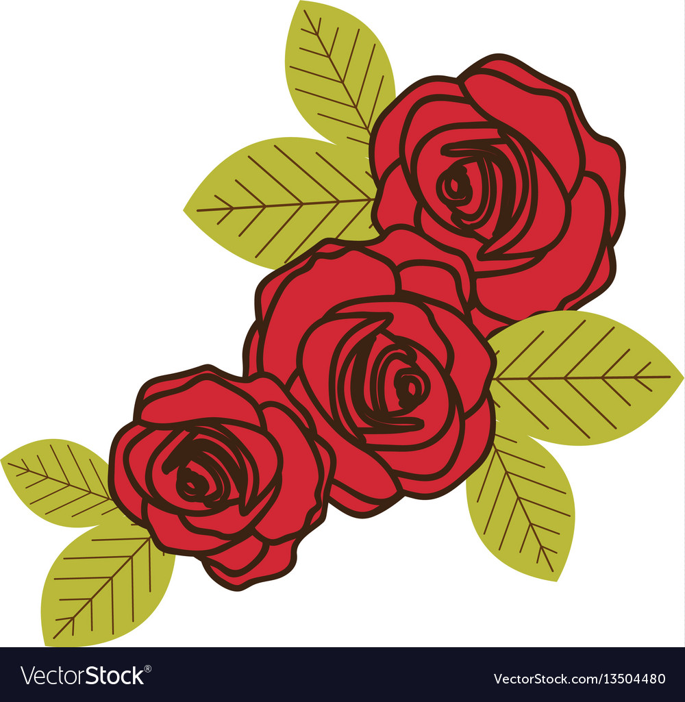 Colorful silhouette with set of roses close up