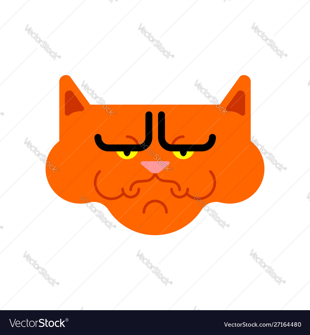 Angry cat cartoon cute grumpy Royalty Free Vector Image