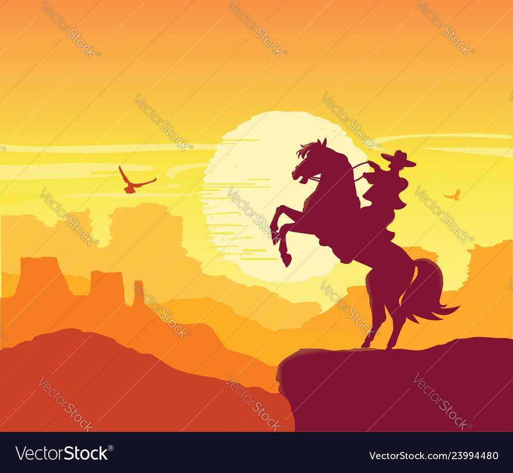 Wild west american desert arizona prairie Vector Image