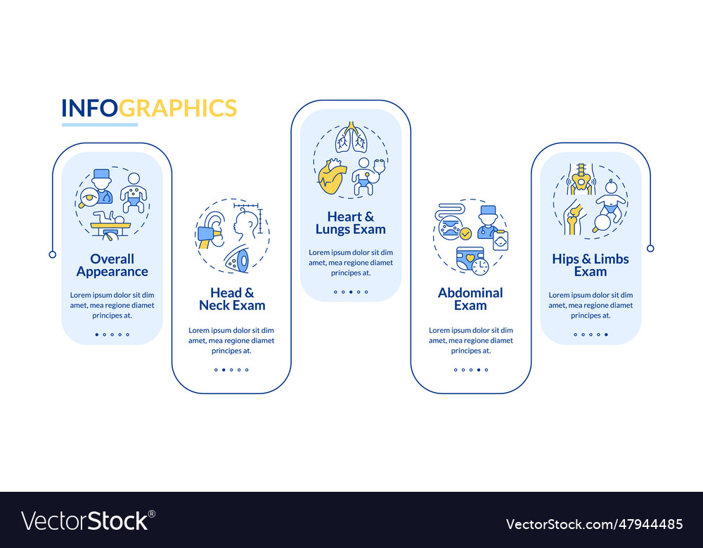 Baby physical exam rectangle infographic template vector image Baby physical exam rectangle infographic template